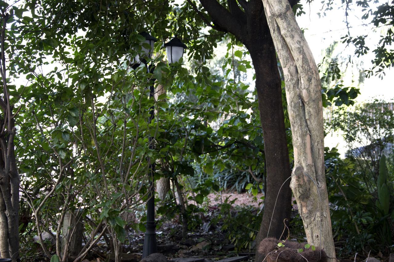 Cane B&B Montevideo Exterior foto